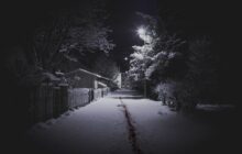 The Valhalla Murders izle