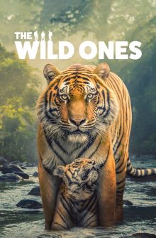 The Wild Ones izle