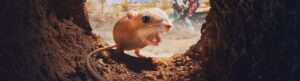 Tiny Creatures izle