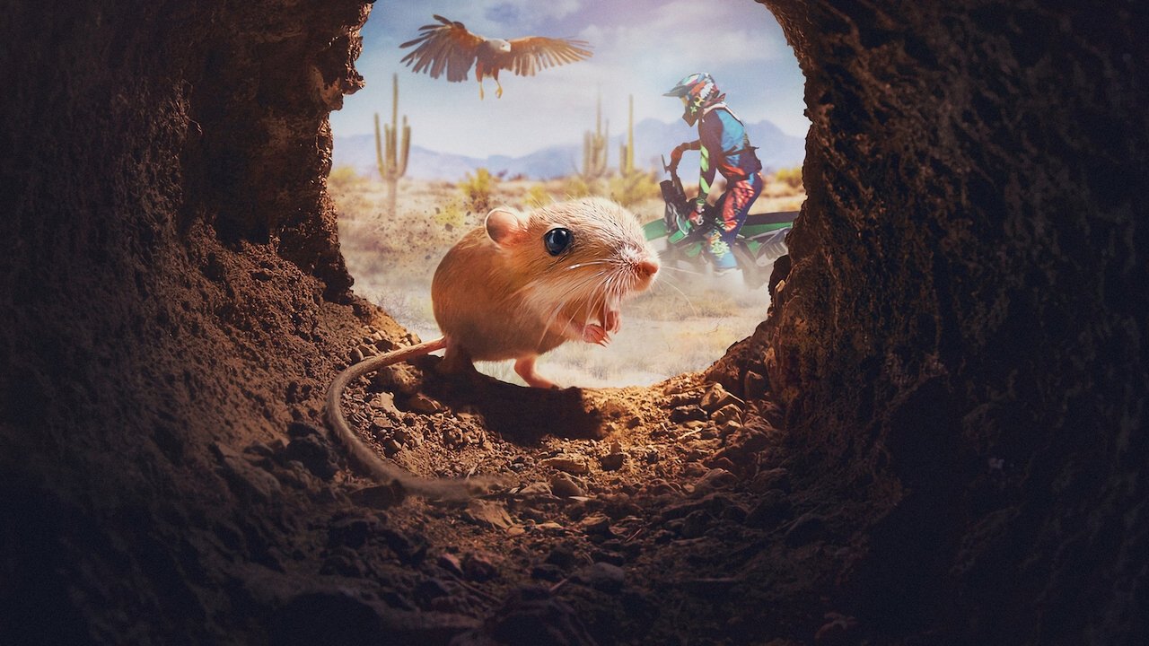 Tiny Creatures izle
