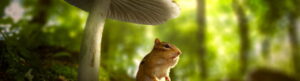 Tiny World izle