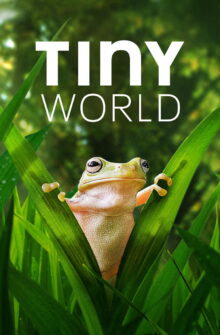 Tiny World izle