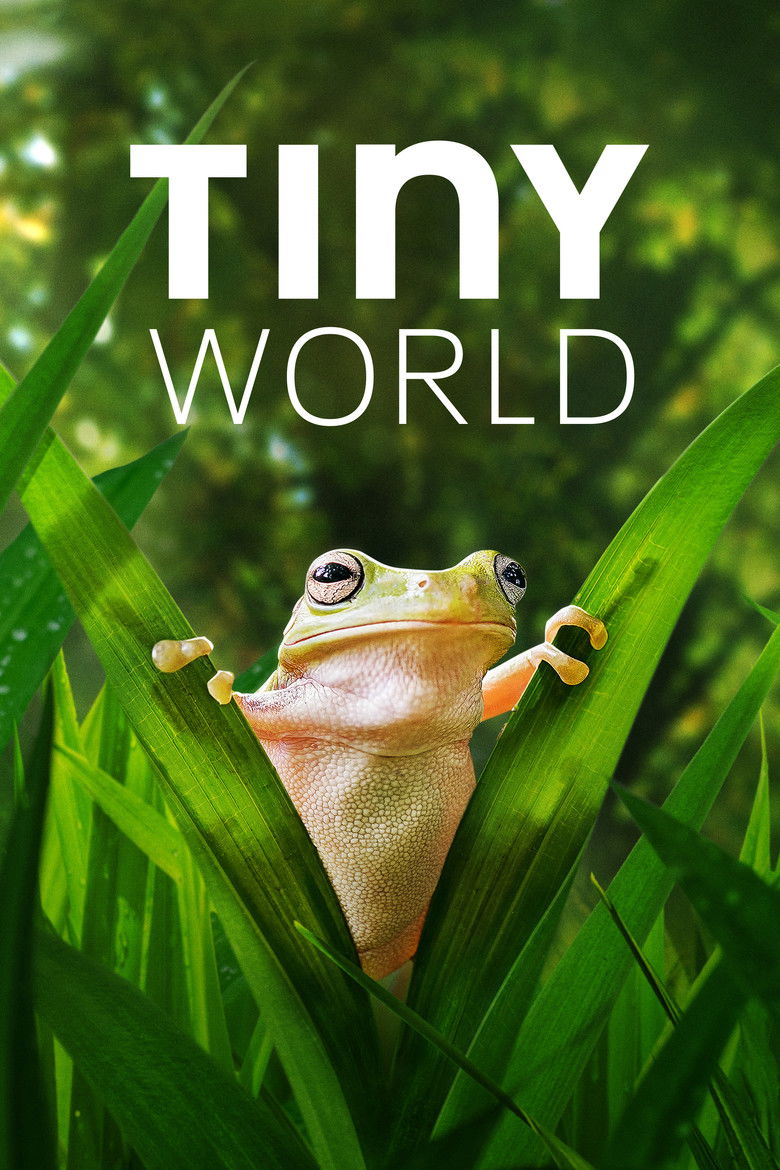 Tiny World izle