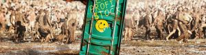 Trainwreck: Woodstock '99 izle