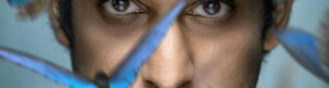 Wakefield izle