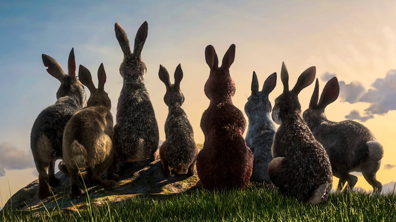 Watership Down izle