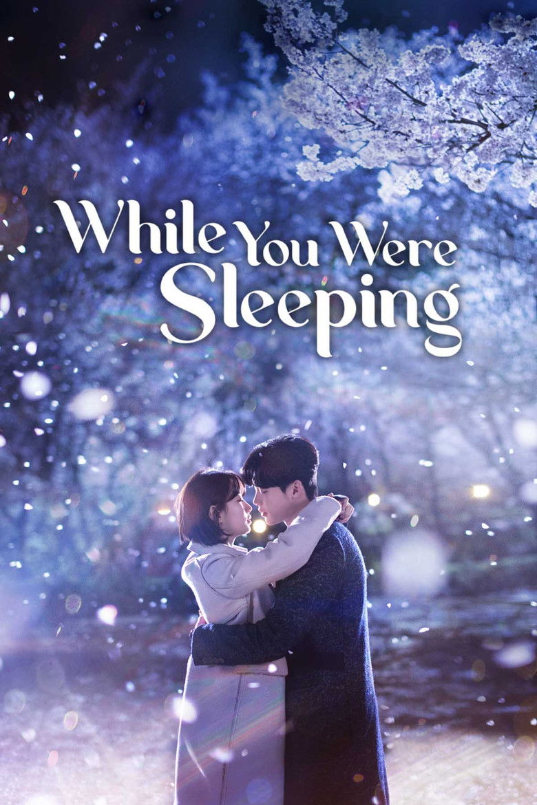 While You Were Sleeping izle