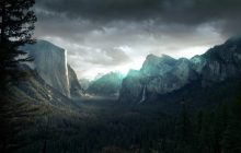 Wild Crime izle