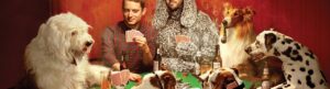 Wilfred izle