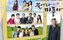 Windy Mi Poong izle