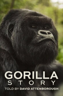 A Gorilla Story: Told by David Attenborough film izle
