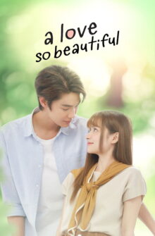 A Love So Beautiful (2024) dizi izle