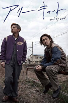 Alley Cat film izle