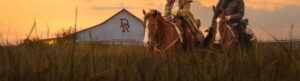 Dutton Ranch izle