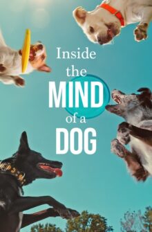 Inside the Mind of a Dog film izle