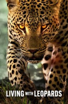 Living with Leopards film izle