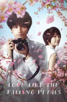 Love Like the Falling Petals film izle