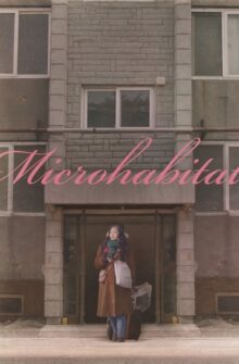 Microhabitat film izle