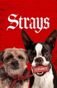 Strays film izle