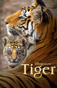 Tiger film izle