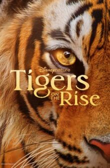 Tigers on the Rise film izle
