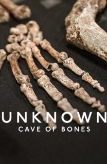 Unknown: Cave of Bones film izle
