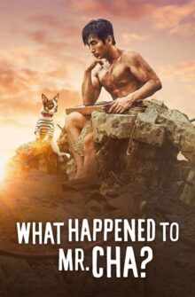 What Happened to Mr. Cha? film izle