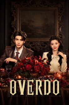 Overdo dizi izle