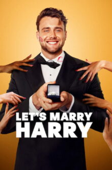 Let’s Marry Harry dizi izle